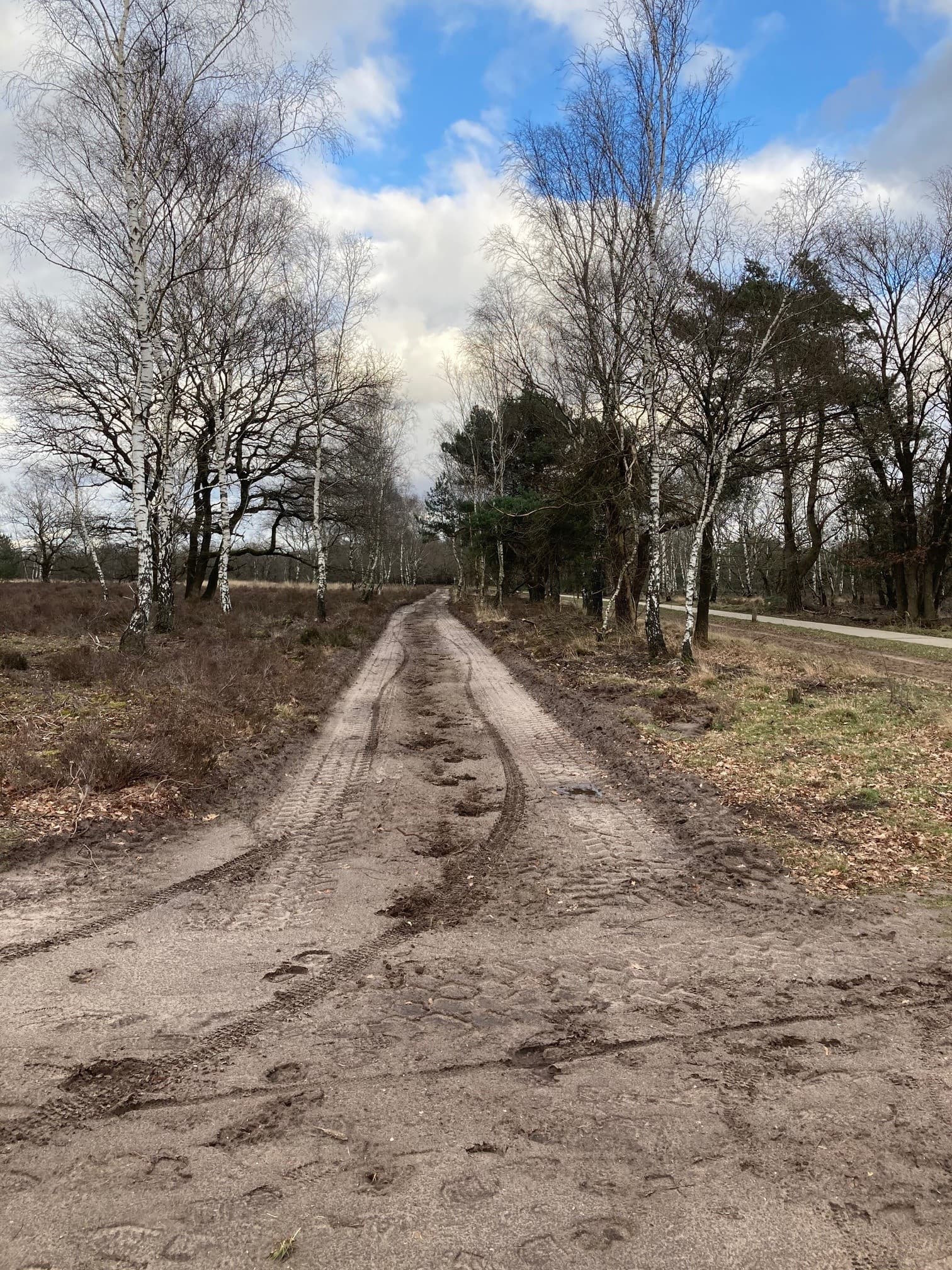Houtbeekweg pad op de Veluwe